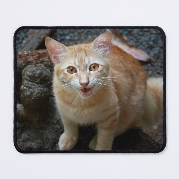Item preview, Marmalade meow designed and sold by missmoneypenny.