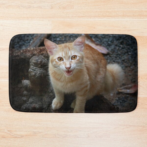 Item preview, Marmalade meow designed and sold by missmoneypenny.