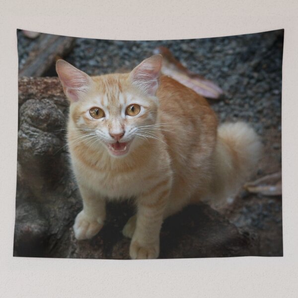 Item preview, Marmalade meow designed and sold by missmoneypenny.