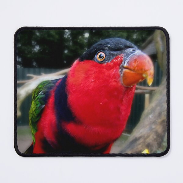 Item preview, In your face designed and sold by missmoneypenny.