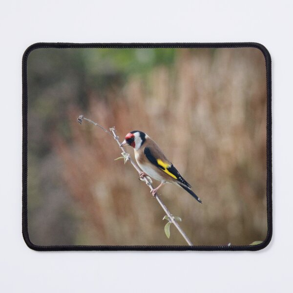 Item preview, Out on a limb designed and sold by missmoneypenny.