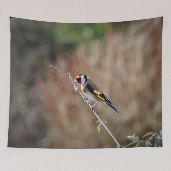 Item preview, Out on a limb designed and sold by missmoneypenny.
