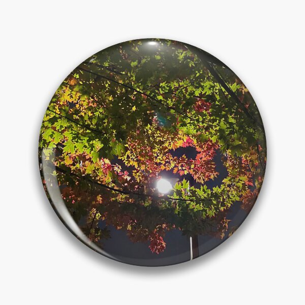 Aperçu de l'œuvre Feuilles d'automne et lampadaire créée et vendue par Ryan J Hunter.