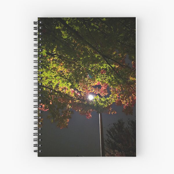 Item preview, Autumn leaves and a lampost designed and sold by Ryan J Hunter.