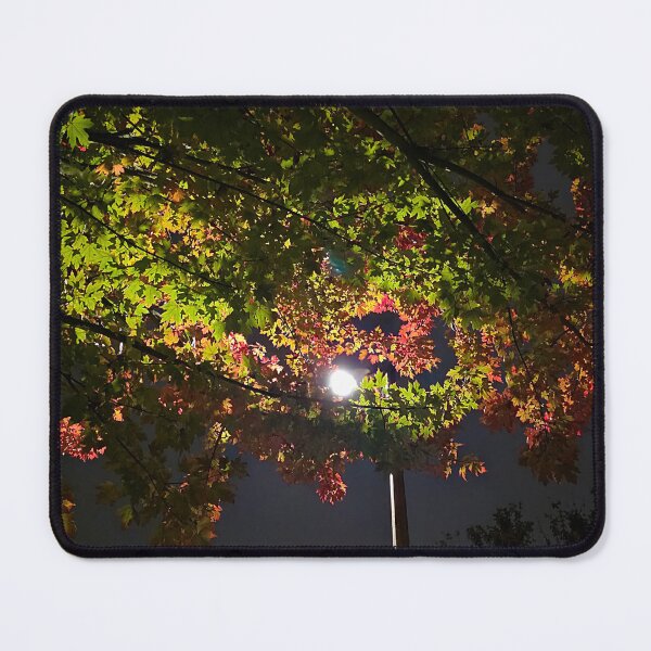 Item preview, Autumn leaves and a lampost designed and sold by Ryan J Hunter.