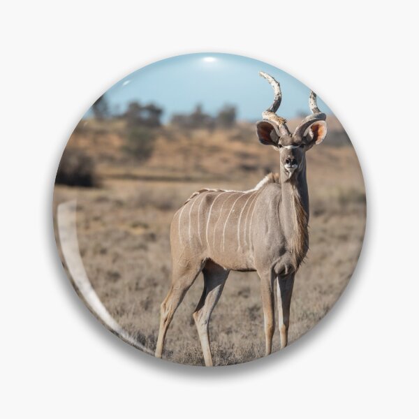 Item preview, Grace of the Savanna — Greater Kudu Standing Proud in Golden Light designed and sold by DavideAntoniani.