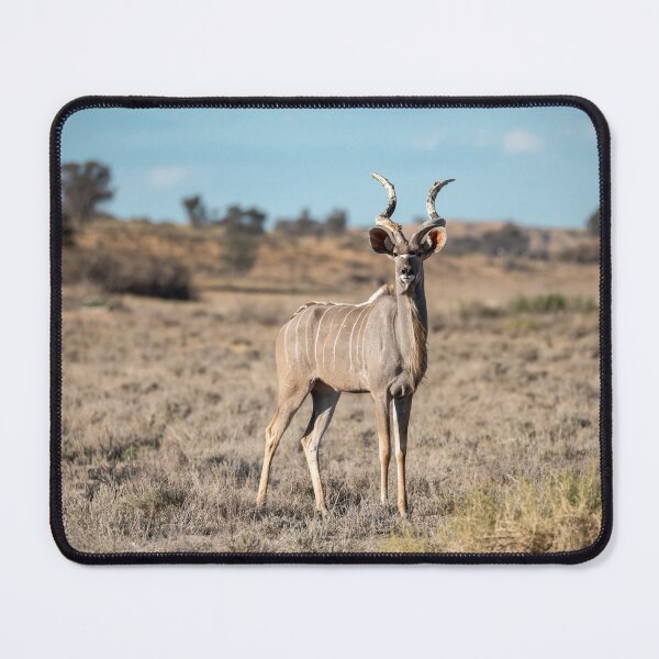 Item preview, Grace of the Savanna — Greater Kudu Standing Proud in Golden Light designed and sold by DavideAntoniani.