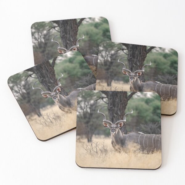 Item preview, Echoes of the Wilderness — Greater Kudu Among the Golden Grass of Botswana designed and sold by DavideAntoniani.