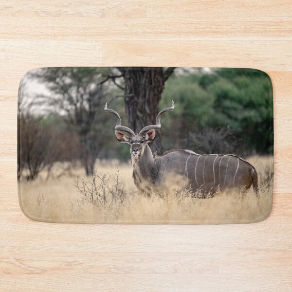 Item preview, Echoes of the Wilderness — Greater Kudu Among the Golden Grass of Botswana designed and sold by DavideAntoniani.