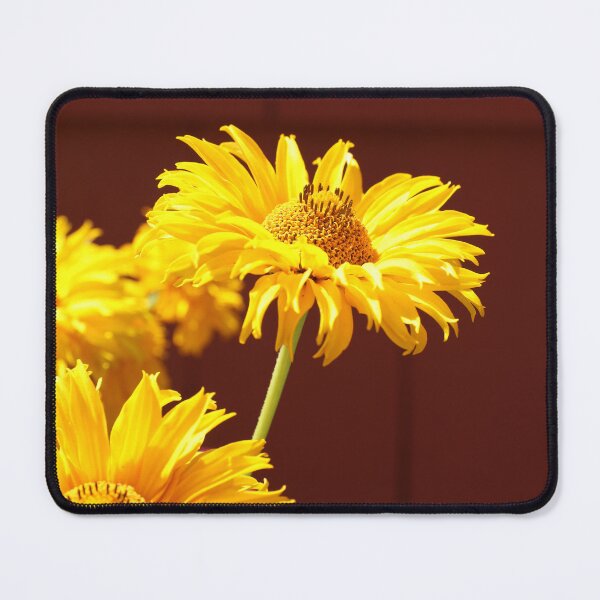 Item preview, Yellow beauty. Nature on display. designed and sold by picturedlcphoto.