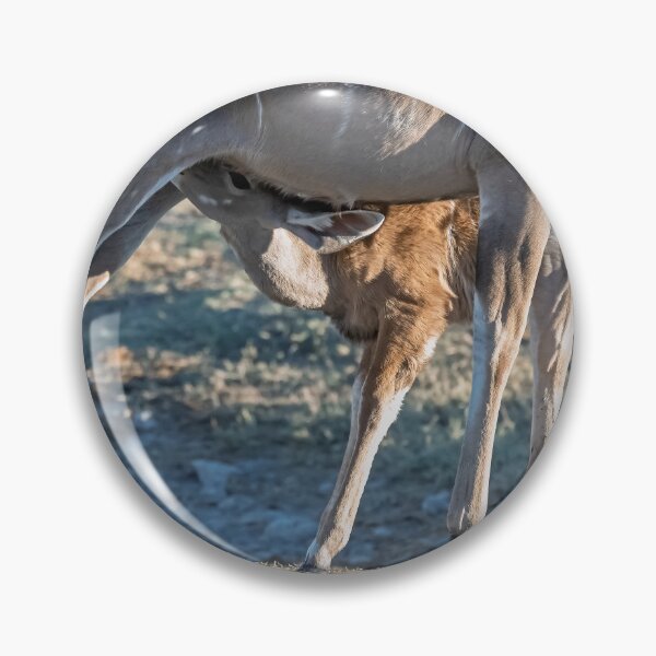 Item preview, Bond of the Wild — Kudu Mother Nursing Her Calf, Botswana designed and sold by DavideAntoniani.