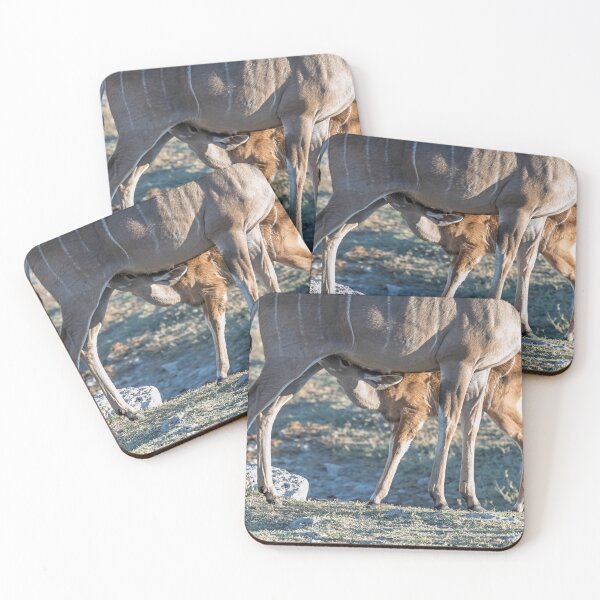 Item preview, Bond of the Wild — Kudu Mother Nursing Her Calf, Botswana designed and sold by DavideAntoniani.