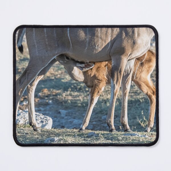 Item preview, Bond of the Wild — Kudu Mother Nursing Her Calf, Botswana designed and sold by DavideAntoniani.