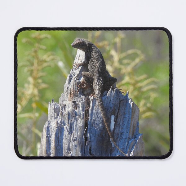Item preview, A Black Lizard On a Canyon Snag designed and sold by Wonders Of Paradise.