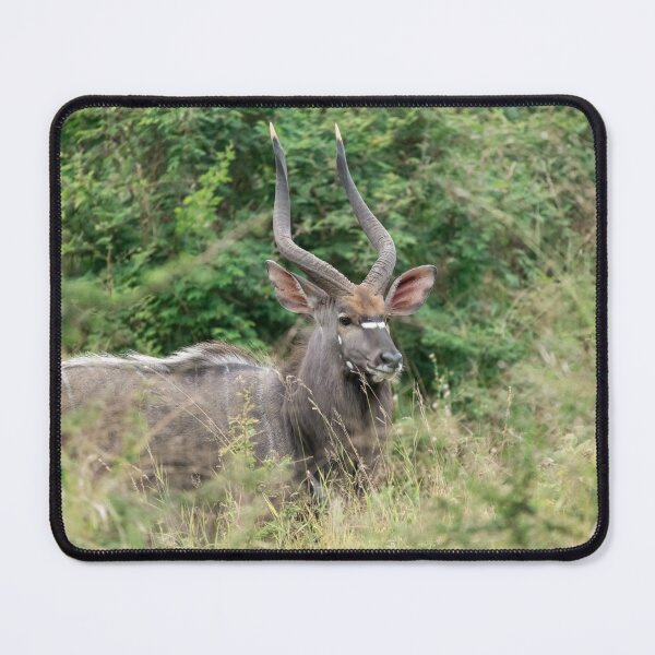 Item preview, Nyala Majesty in the Thicket — Spiral‑Horned Elegance Watching the Wild designed and sold by DavideAntoniani.
