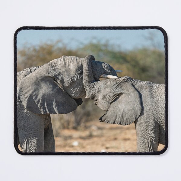 Item preview, Tusk to Tusk — Playful Sparring Between Young Elephant Bulls designed and sold by DavideAntoniani.