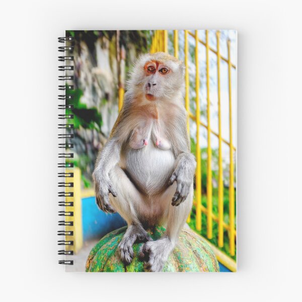 Item preview, Crab-eating macaque designed and sold by troianifabrizio.