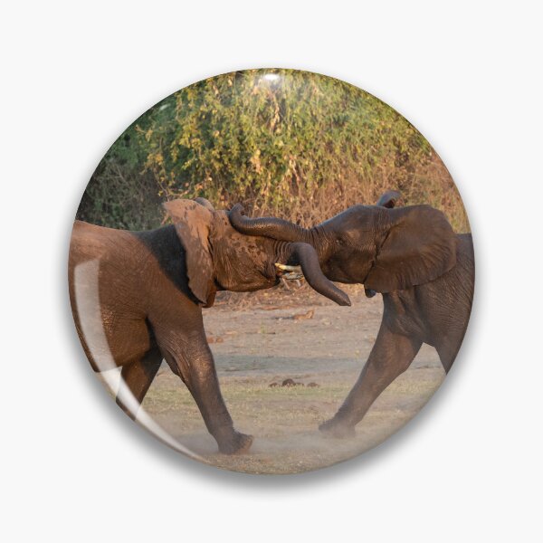 Item preview, Dust & Tusk Play — Young Elephants Spar at the Water’s Edge designed and sold by DavideAntoniani.