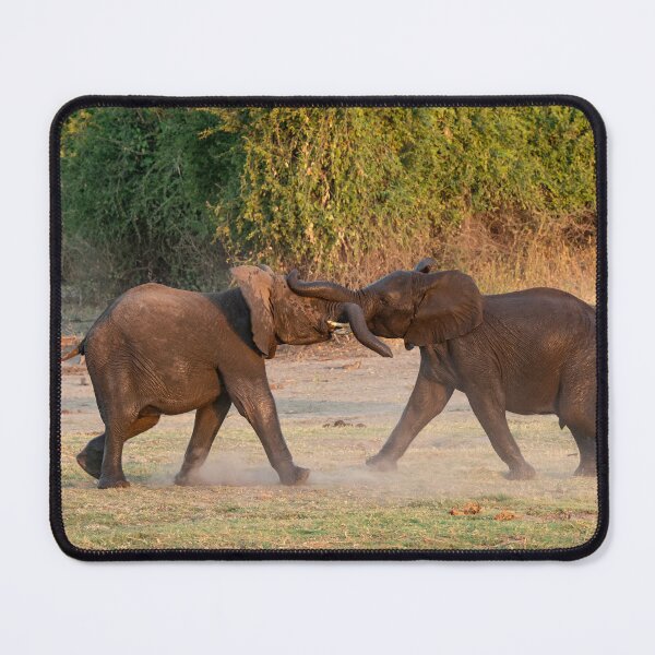Item preview, Dust & Tusk Play — Young Elephants Spar at the Water’s Edge designed and sold by DavideAntoniani.