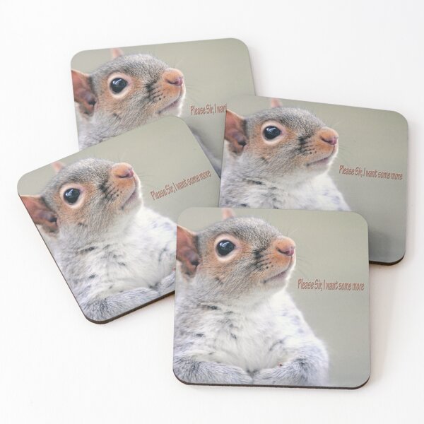 Item preview, Oliver Twist Squirrel designed and sold by Frankie Cat Photography.