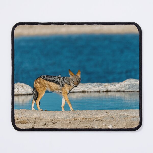 Item preview, Black‑Backed Jackal at the Water’s Edge — Quiet Steps on the Blue Pan designed and sold by DavideAntoniani.