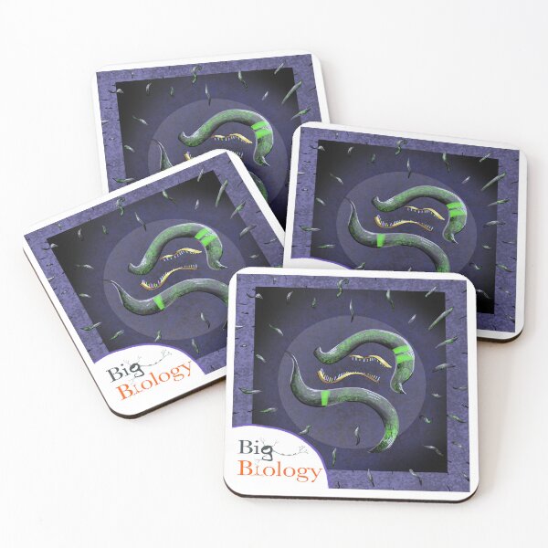 Item preview, Biology outside the box  designed and sold by BigBiology.