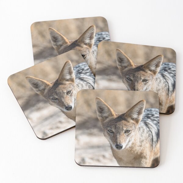 Item preview, Wild Gaze in the Dust – Black-Backed Jackal Portrait designed and sold by DavideAntoniani.