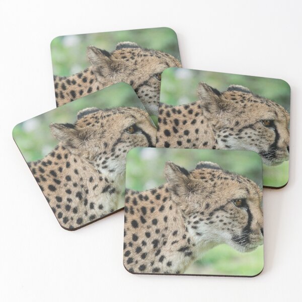 Item preview, Cheetah Poise — Amber Gaze, Quiet Power designed and sold by DavideAntoniani.