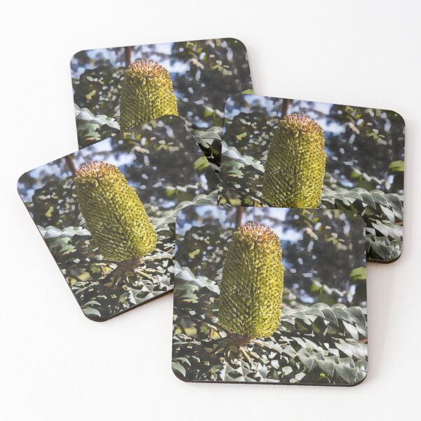 Item preview, Banksia Grandis Australian Native Flower Art – Botanical Nature Photography by Australian Photographer designed and sold by Michael van der Hoorn.