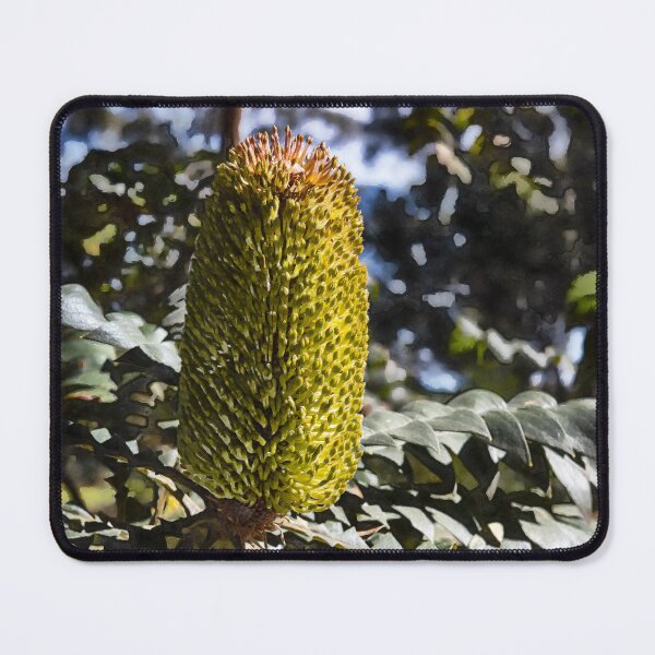 Item preview, Banksia Grandis Australian Native Flower Art – Botanical Nature Photography by Australian Photographer designed and sold by Michael van der Hoorn.