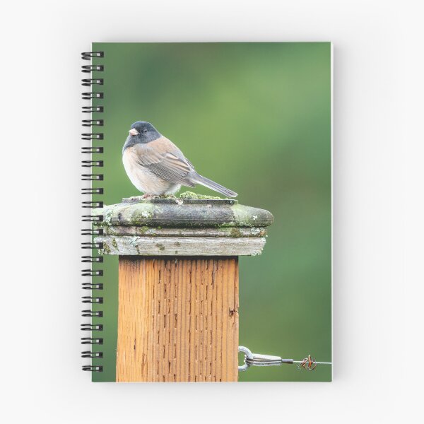 Item preview, Dark-Eyed Junco on a fence post designed and sold by lisavonbiela.