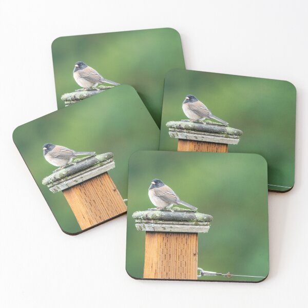 Item preview, Dark-Eyed Junco on a fence post designed and sold by lisavonbiela.