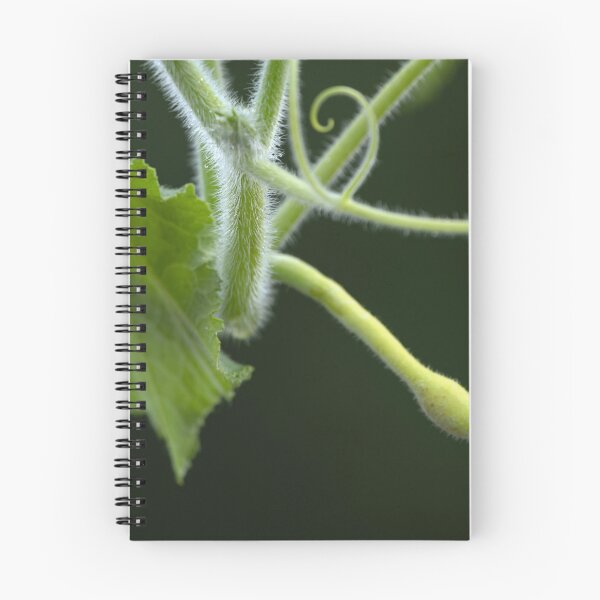 Item preview, Green vine against dark background designed and sold by lisavonbiela.