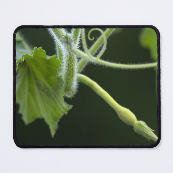 Item preview, Green vine against dark background designed and sold by lisavonbiela.