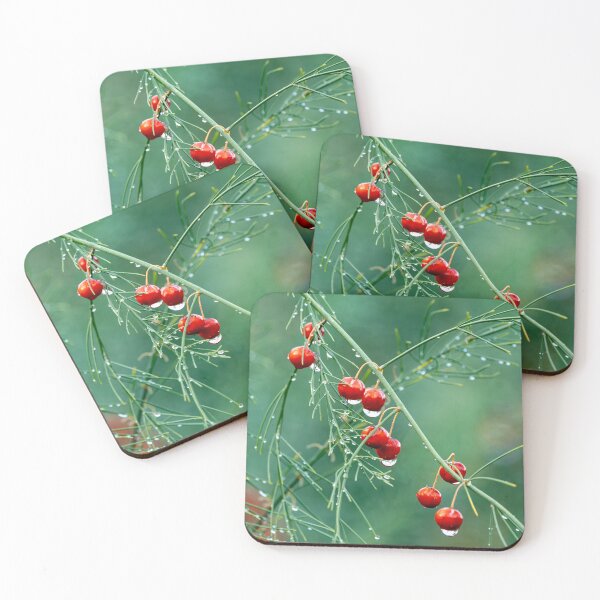 Item preview, Asparagus berries after a rain designed and sold by lisavonbiela.