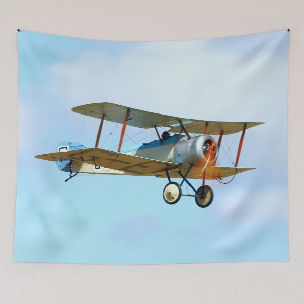 Item preview, Sopwith Dove G-EAGA  designed and sold by MartinPhotos.