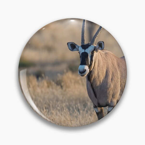 Item preview, Desert Elegance — Gemsbok at Golden Dusk in Calm Grass designed and sold by DavideAntoniani.