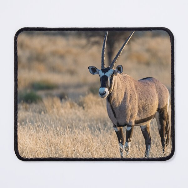 Item preview, Desert Elegance — Gemsbok at Golden Dusk in Calm Grass designed and sold by DavideAntoniani.
