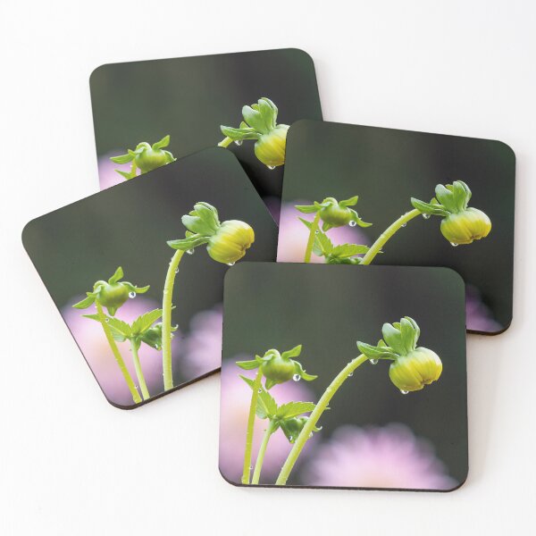 Item preview, Rain-drenched bud against dramatic background designed and sold by lisavonbiela.