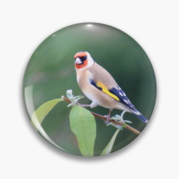 Item preview, Can I help you? designed and sold by missmoneypenny.