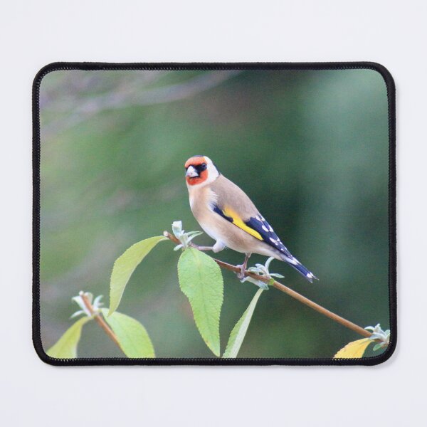 Item preview, Can I help you? designed and sold by missmoneypenny.