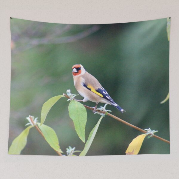 Item preview, Can I help you? designed and sold by missmoneypenny.
