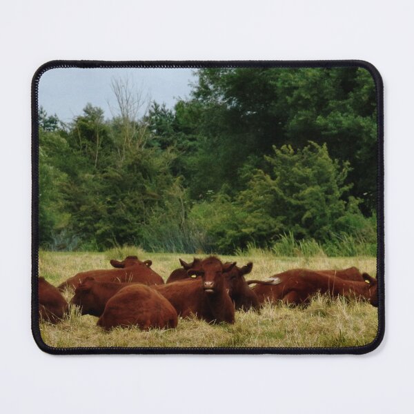 Item preview, Bovine break designed and sold by missmoneypenny.
