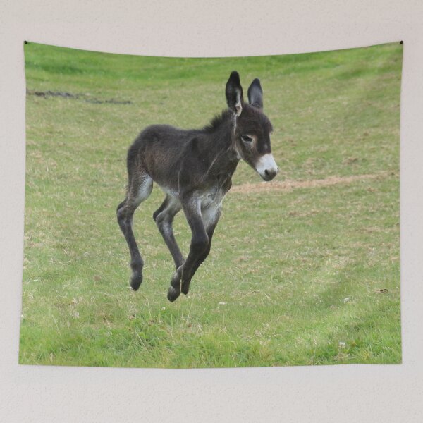 Item preview, All fours off the ground designed and sold by missmoneypenny.