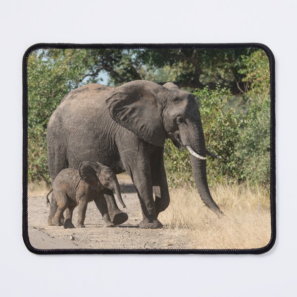 Item preview, Side by Side at Dawn — Elephant Mother Steers Her Calf Beyond the Road designed and sold by DavideAntoniani.