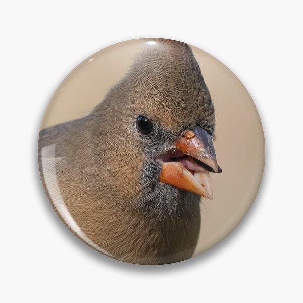 Item preview, Cardinal Grabbing Some Lunch designed and sold by Del Phoenix Photography.