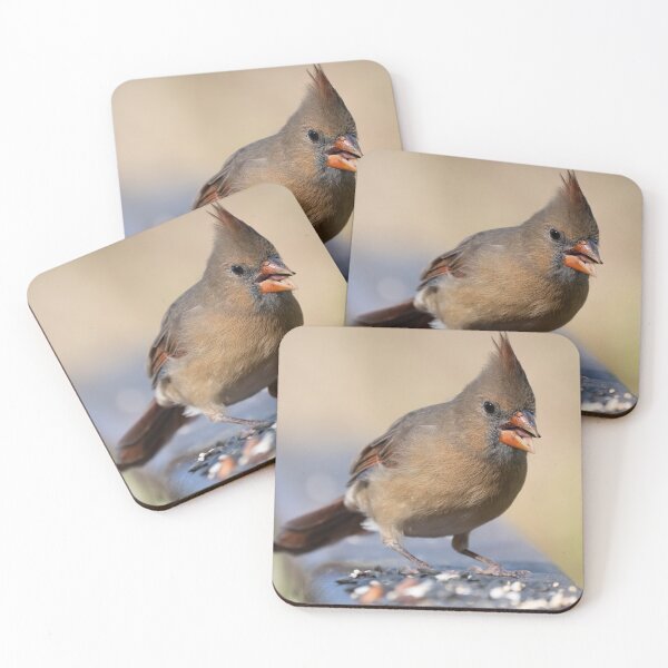 Item preview, Cardinal Grabbing Some Lunch designed and sold by Del Phoenix Photography.
