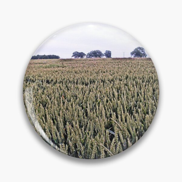 Item preview, Fields of corn designed and sold by missmoneypenny.