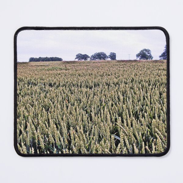 Item preview, Fields of corn designed and sold by missmoneypenny.