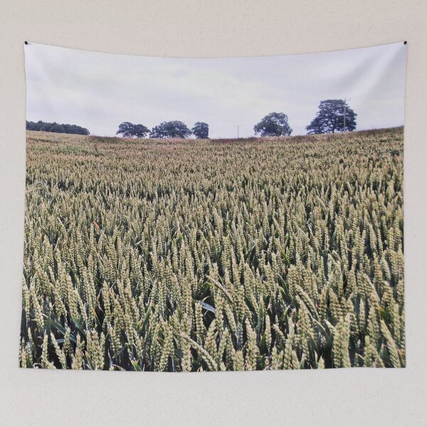 Item preview, Fields of corn designed and sold by missmoneypenny.
